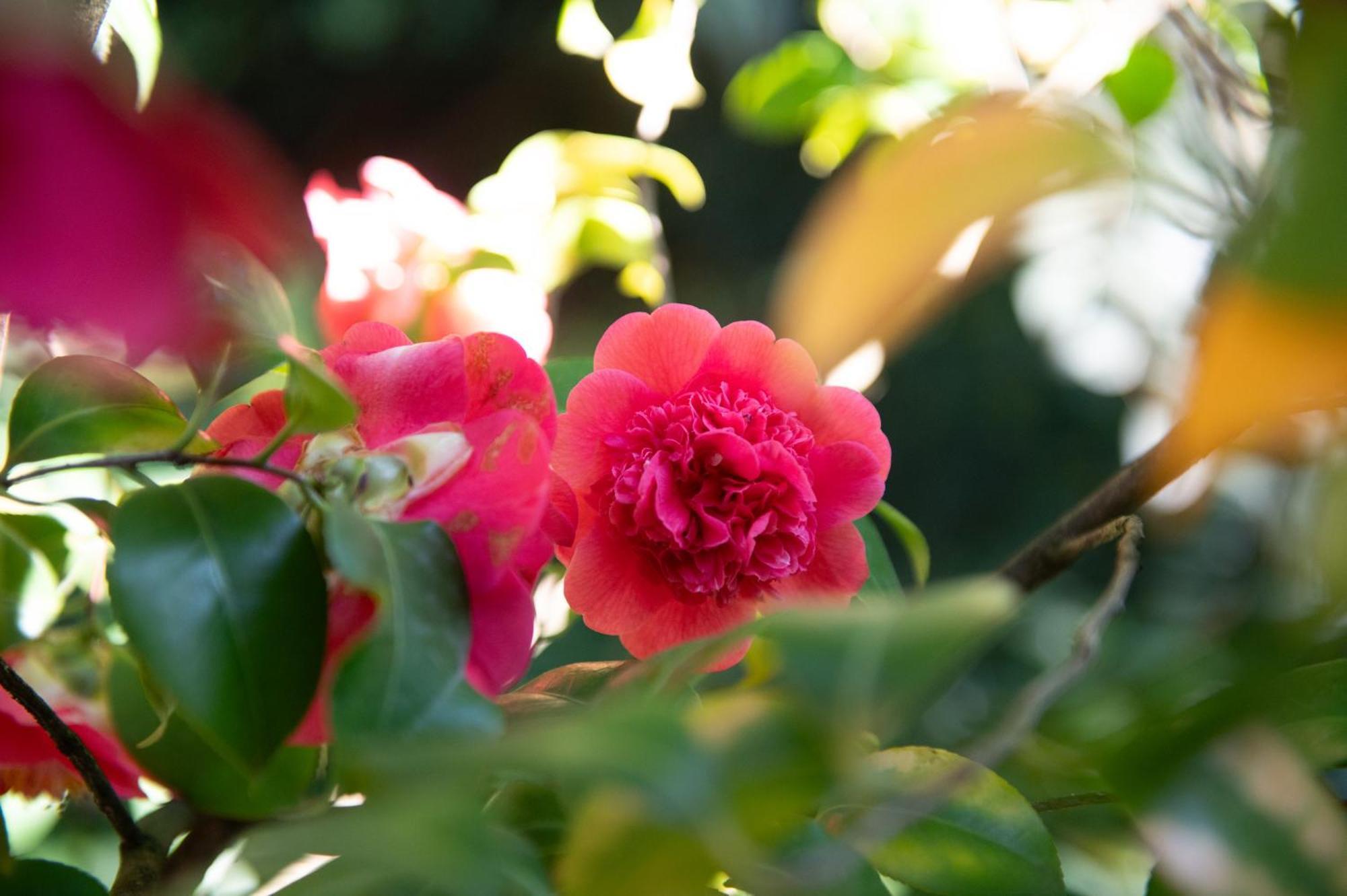Bed & Breakfast Il Casale Di Rossi