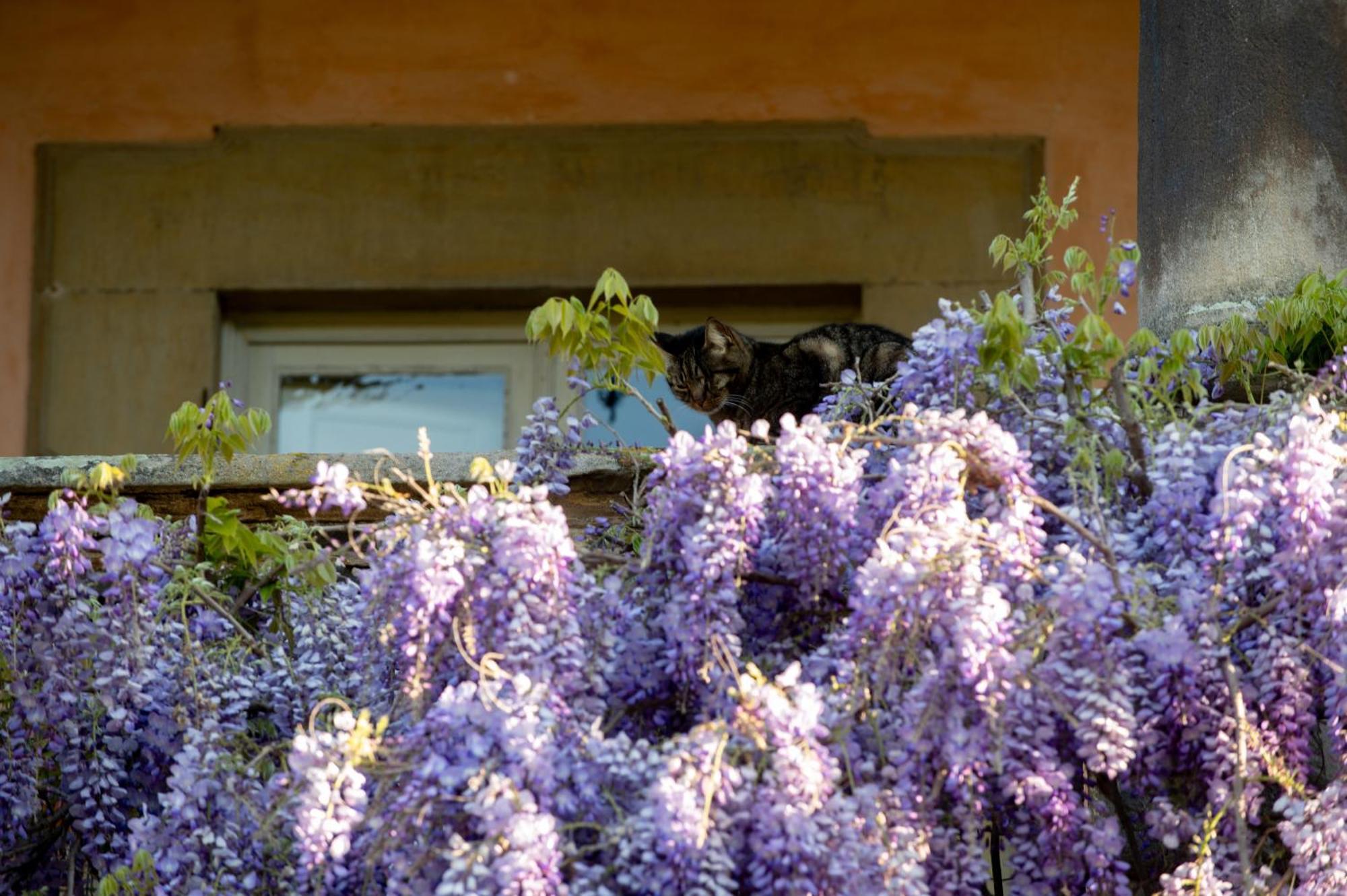 Bed & Breakfast Il Casale Di Rossi *